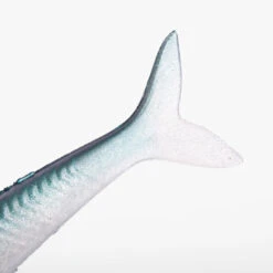 COMBO Leurres Souples Slug SLUGEELO 160 Ayu/Bleu 15 COMBO Leurres Souples Slug SLUGEELO 160 Ayu/Bleu -Pêche Promotion Boutique combo leurres souples slug slugeelo 160 ayubleu 4