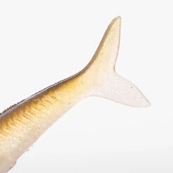 COMBO Leurres Souples Slug SLUGEELO 160 Ayu/Bleu 19 COMBO Leurres Souples Slug SLUGEELO 160 Ayu/Bleu -Pêche Promotion Boutique combo leurres souples slug slugeelo 160 ayubleu 8