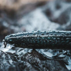 Poisson Nageur SAXTON 110F Mack Vert Pêche Au Leurre En Mer -Pêche Promotion Boutique poisson nageur saxton 110f mack vert peche au leurre en mer 7