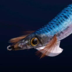 Turlutte Coulante Shallow EBIKA 3.0/120 Bleu Sardine Pêche Des Seiches/calamars 9 Turlutte Coulante Shallow EBIKA 3.0/120 Bleu Sardine Pêche Des Seiches/calamars -Pêche Promotion Boutique turlutte coulante shallow ebika 30120 bleu sardine peche des seichescalamars 2